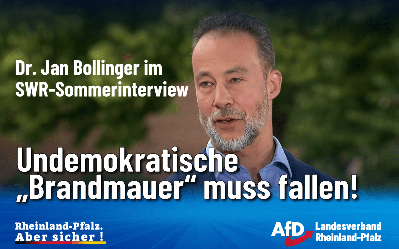 Dr Jan Bollinger beim SWR Sommerinterview