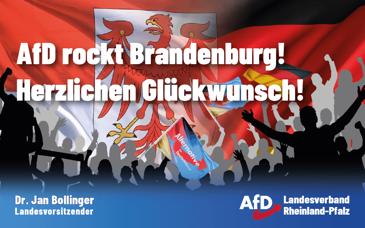 Feiernde Menschen mit AfD-Fahnen vor der Flagge von Brandenburg und Deutschland