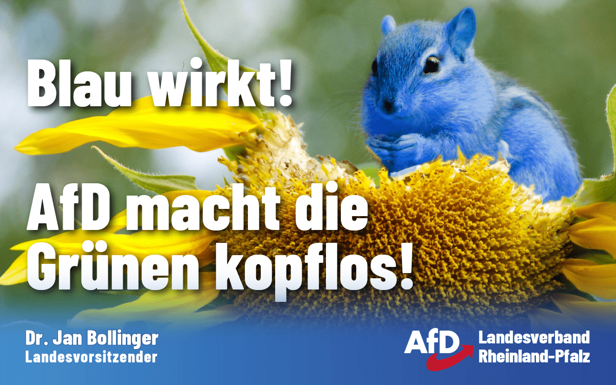 Blaue Maus (AfD) die am Kopf einer Sonnenblume (B90/Die Grünen) nagt.