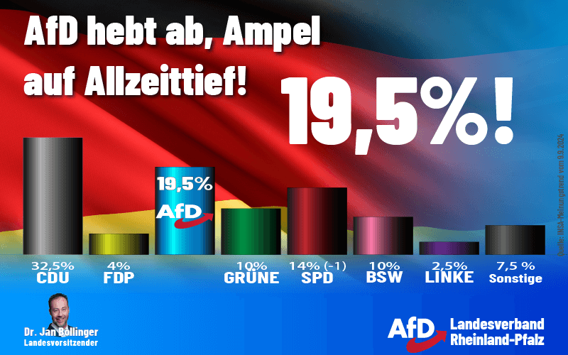 grafische Darstellung der Sonntagsfrage mit 19,5% für die AfD